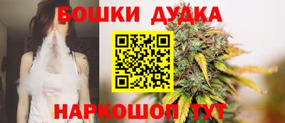 гашик Аргун