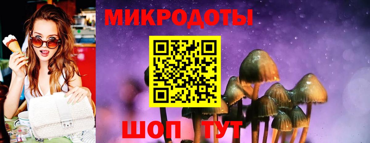 Псилоцибиновые грибы MAGIC MUSHROOMS Волгодонск