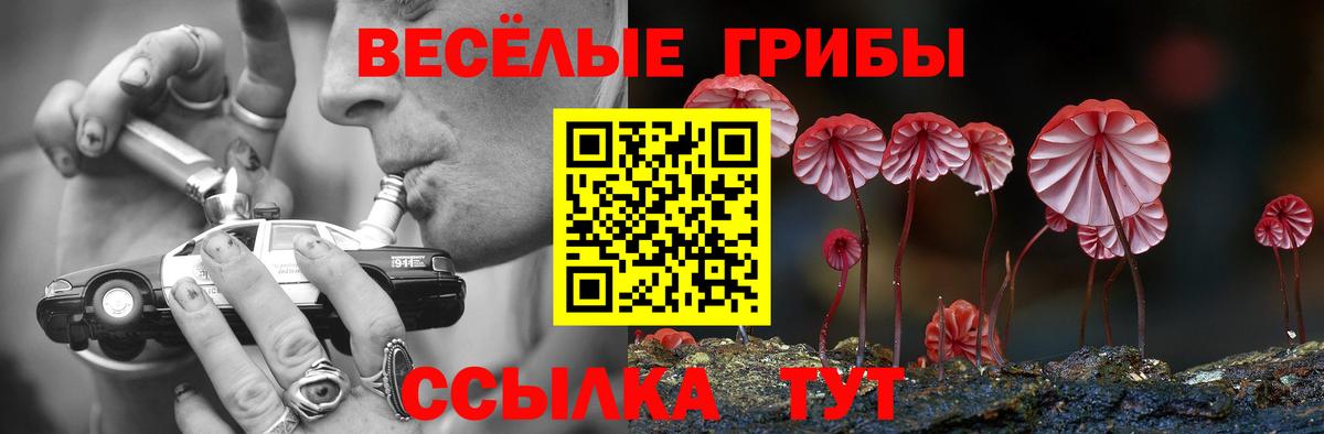 Волгодонск  Псилоцибиновые грибы Magic Shrooms  Вход с VPN  Псилоцибиновые грибы GOLDEN TEACHER 